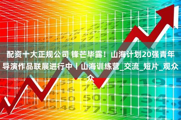 配资十大正规公司 锋芒毕露！山海计划20强青年导演作品联展进行中丨山海训练营_交流_短片_观众