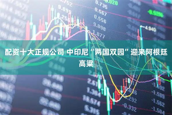 配资十大正规公司 中印尼“两国双园”迎来阿根廷高粱