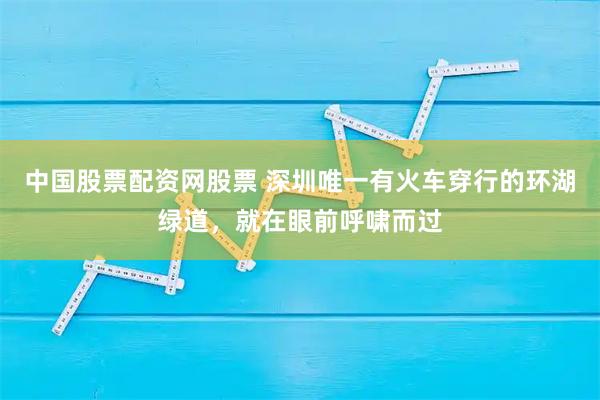 中国股票配资网股票 深圳唯一有火车穿行的环湖绿道，就在眼前呼啸而过