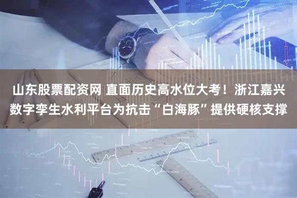 山东股票配资网 直面历史高水位大考！浙江嘉兴数字孪生水利平台为抗击“白海豚”提供硬核支撑